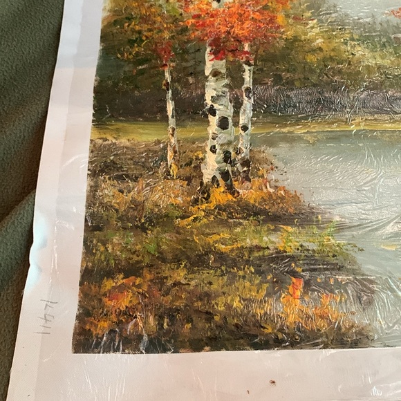 Fall landscape oil painting.  Approx 20” x 23 3/4. Canvas approx 23 1/2” x 27 - Picture 4 of 5